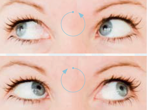 Augen Übung: Augen im und gegen Uhrzeigersinn kreisen lassen